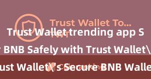 Trust Wallet trending app Store Your BNB Safely with Trust Wallet's Secure BNB Wallet